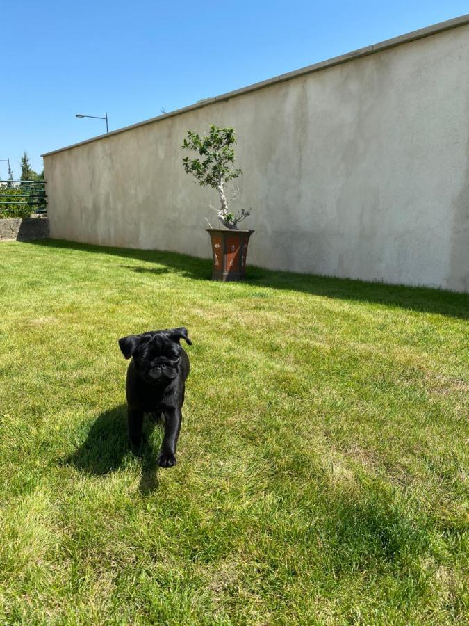 OLGA Chambre D'hôte Verdun-sur-Meuse Exterior foto